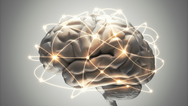 The Brain Does Not Feel – The Truth of Ascending Signals and the Revolution of Somatic Interpretation